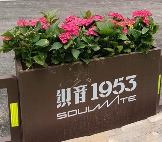 我是山东人，刚从石家庄回来，实在忍不住想说：对石家庄5大印象