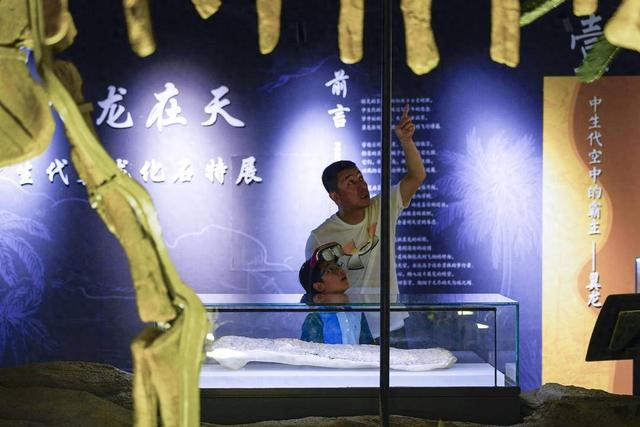 暑假必冲！辽宁古生物博物馆迎来参观热潮