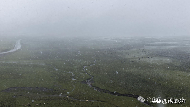 美仁初雪，八月飞白！邂逅羚城最意外的浪漫