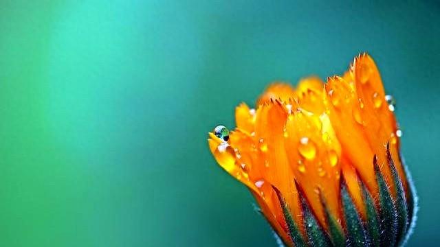 12月21日，星期日，白羊座，有事要来了！