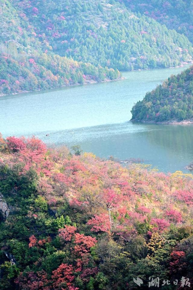 郧阳：滔河水库秋景如画