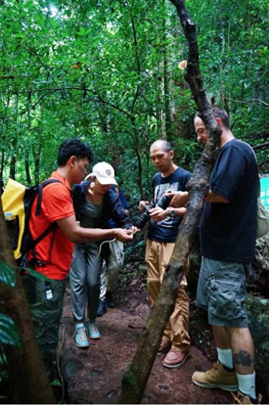 六国媒体齐聚西双版纳：勐远仙境的雨林奇遇，让欧洲记者集体“沦陷”！