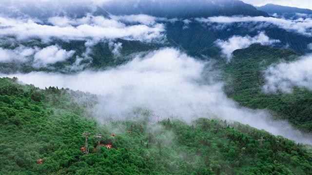 避暑人流猛增，四川三景区发布客流量预警