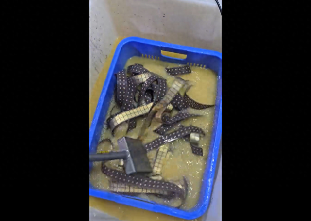 广东一男子用170公斤手机SIM卡芯片废料提炼出191.73克黄金	，当事人：银行卡等芯片也能提炼，但提取过程危险