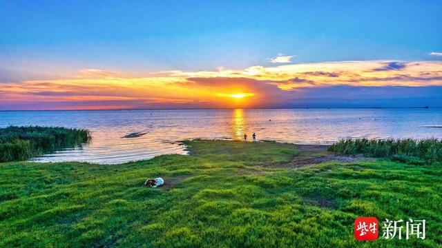 宿迁湖滨新区：万物共生，绘就生态新画卷