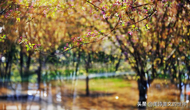 海上生明月天涯共此时是谁的名句（海上生明月）