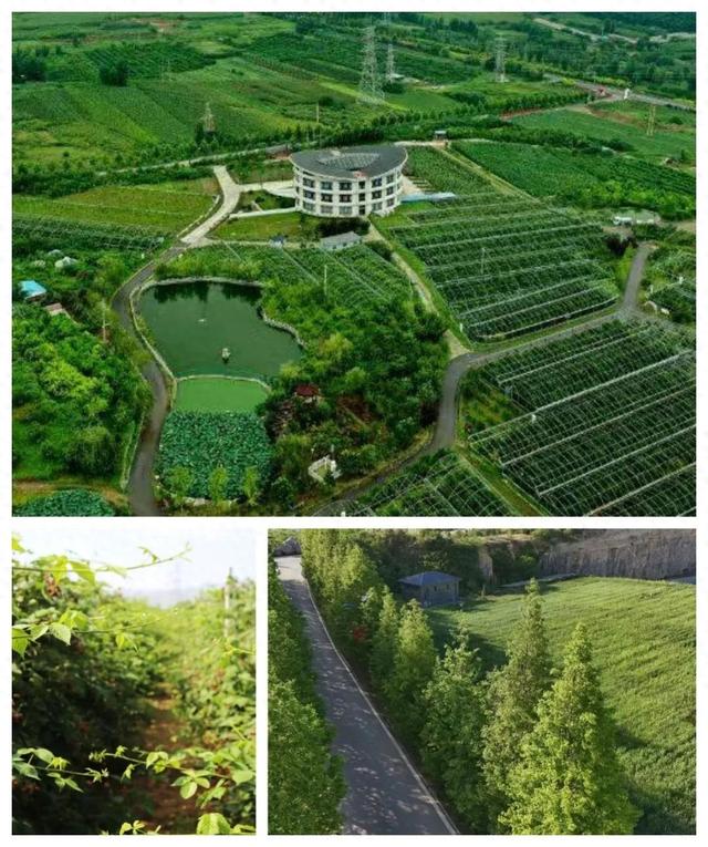 淄川这座“宝藏山”，承包你所有快乐！