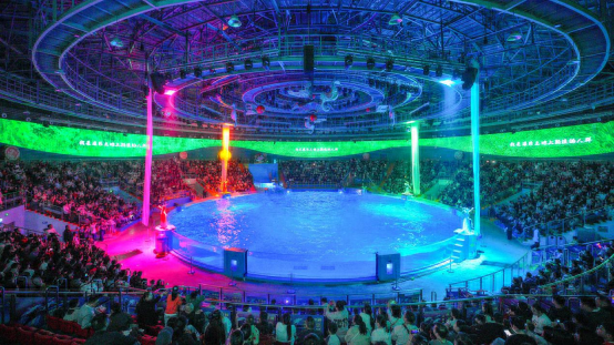 郑州海昌海洋公园年味不停，宠妮来袭！