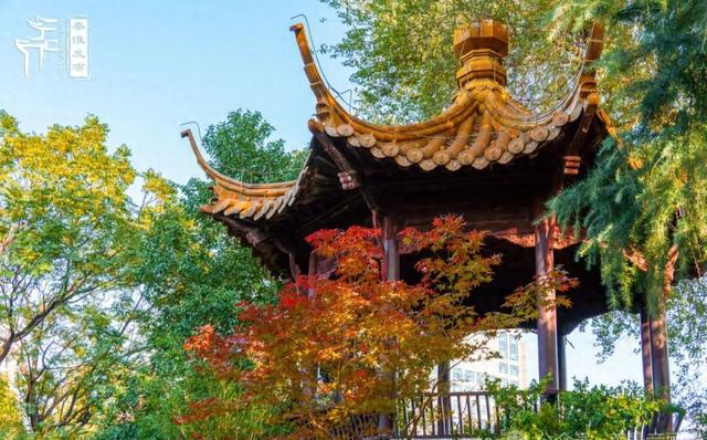 南京这个地方的红枫美景，简直美“枫”了