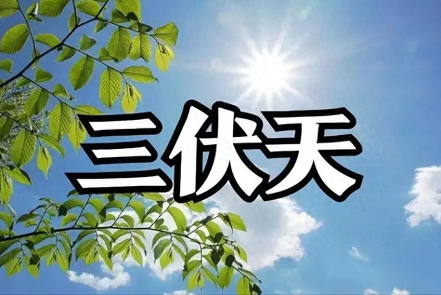 “上午立秋，冷飕飕；下午立秋，热死牛”，今年立秋在哪？早了解