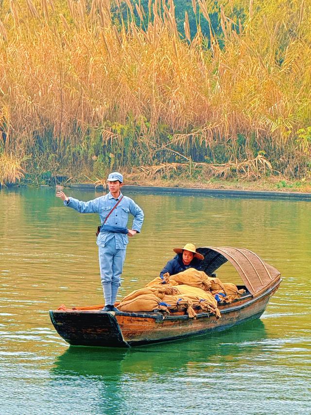 金色芦荡（常熟沙家浜风景区）