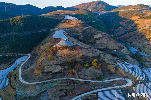 如果你正在大理摆烂,这条被果园包围的乡村小道很值得去跑一跑