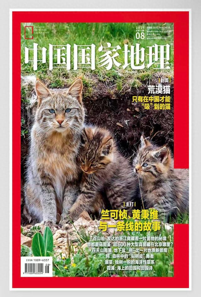 《中国国家地理》重磅推荐 | 探秘中国东部的菌物秘境