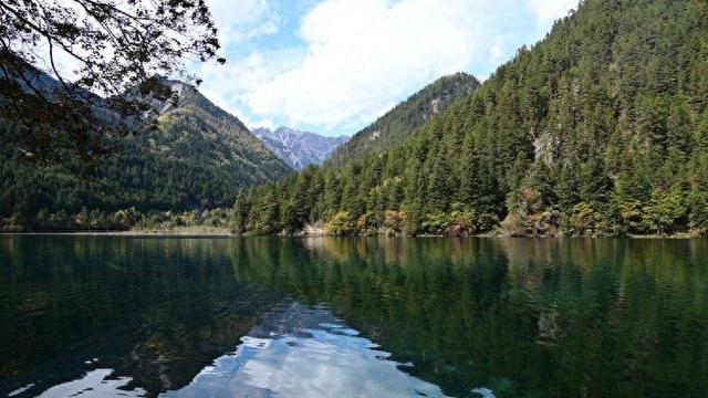 九寨沟彩林季迎“井喷式”客流 “颜值+服务”双在线获游客盛赞