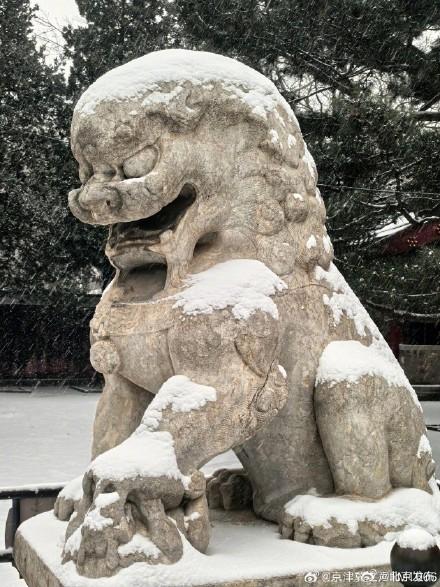 北京初雪把颐和园泼成水墨长卷