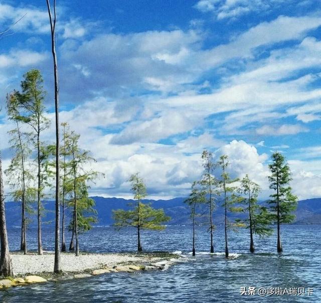 退休后一定要在这6座城市旅居，消费不高生活安逸，来了就不想走