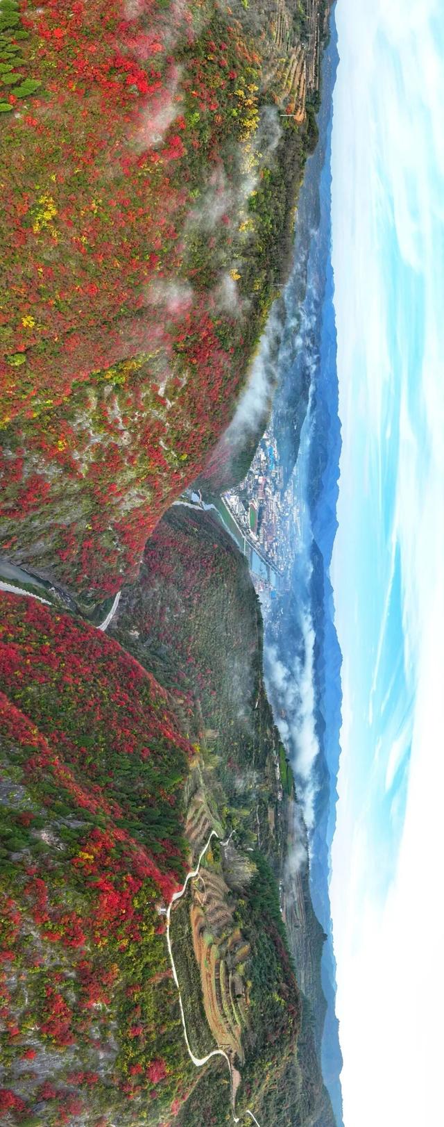 秋日限定 | 两当：把秦岭秋韵装进红叶里