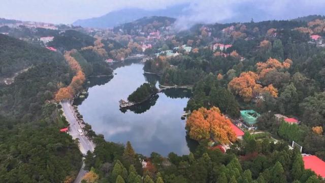 庐山景区开启2025年金秋赏枫季