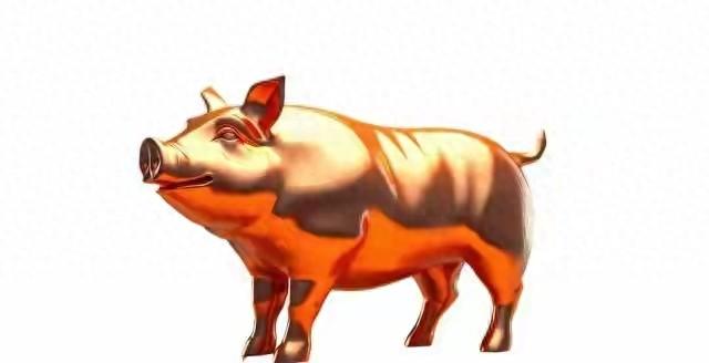 警告71年属猪人：晚年最大的坎来了，不是健康！惊醒无数人！