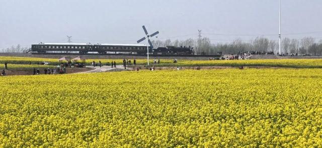 清明假期，踏青赏花感受春日之美→