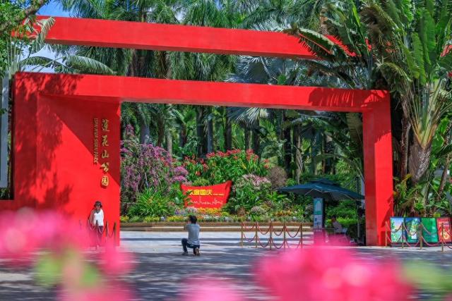 花团锦簇迎国庆！深圳公园40+活动邀你玩个够