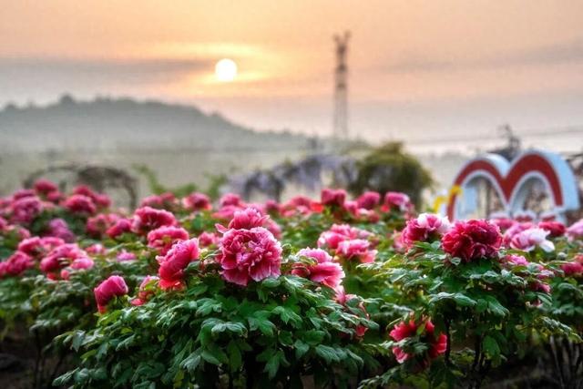 花开成海！快来打卡溧水这座校园