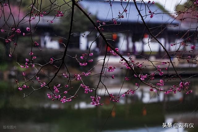 要想一个人出门旅行，你要具备5个条件