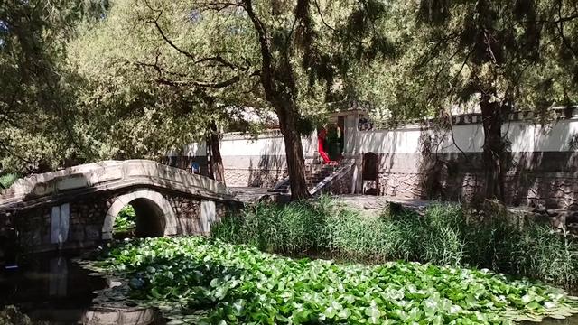 颐和园养云轩养的什么云，为什么门楼看起来很怪？