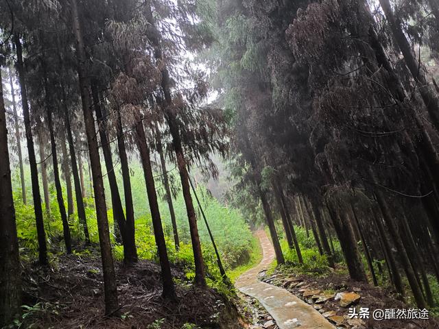 成都周边二日游（1）：雅女湖畔的隐世时光