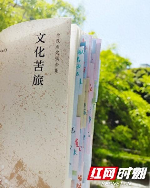 顺企网