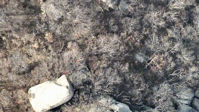 男子登山迷路，信阳消防紧急救援