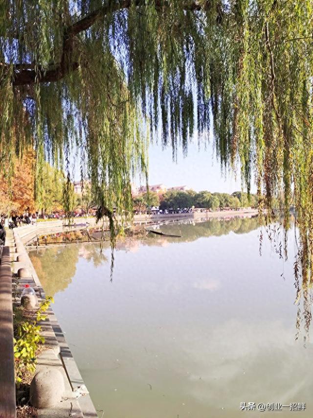 商旅漫笔（11）：恰好那个时候，我在三塔公园穷游