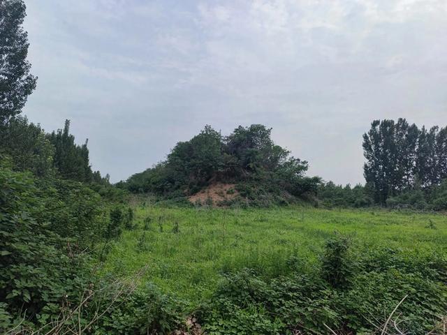 章丘龙山平陵城古城墙，位列国保的遗址公园。