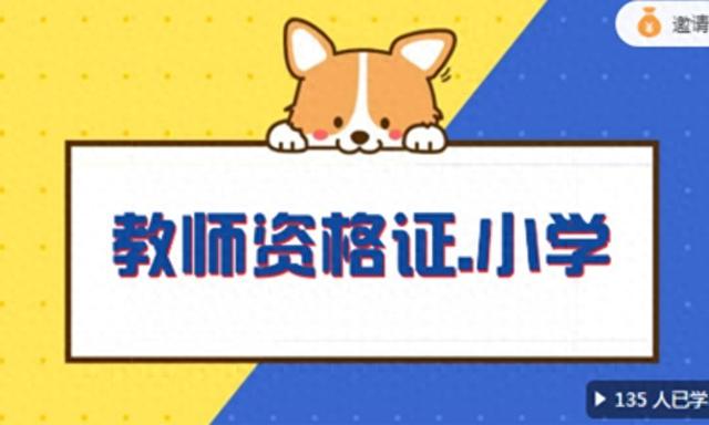 小学教师资格证考试科目（小学教师资格证如何选科目）