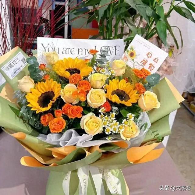 启信宝