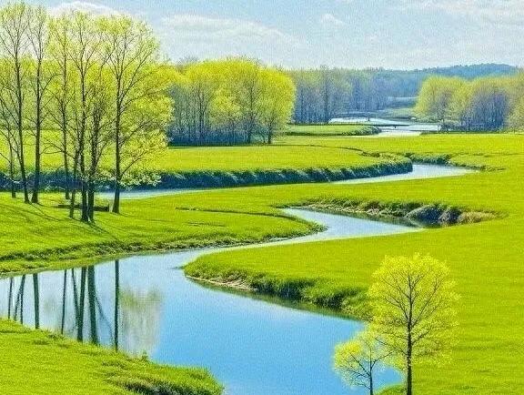 蜿蜒的河流