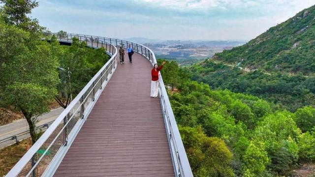 近期将开放！泉州这一立体景观廊道已全面完工！