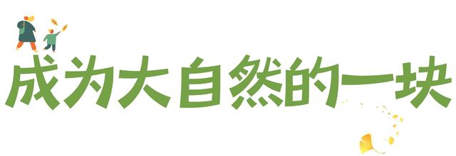 秋天的乌鲁木齐，藏着 6 种惬意方式