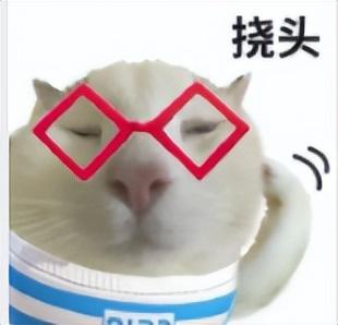 来雅旅游要显酷，“基础款”就不要再搭“基础款”！