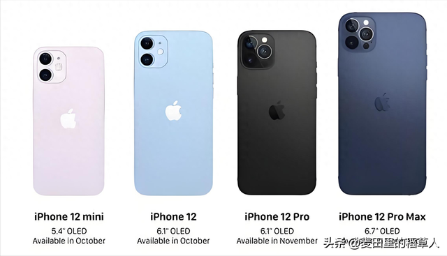 📱 大屏旗舰的秘密：为什么博主都推iPhone Pro Max？