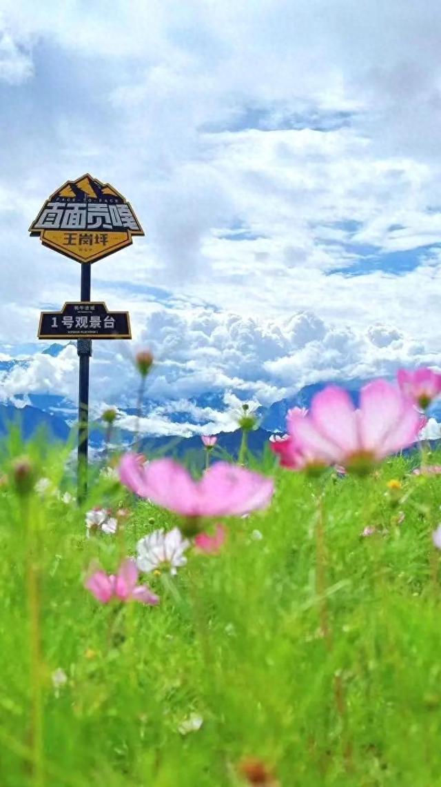 高温速逃指南！连续一周“全勤打卡”日照金山+星空银河！