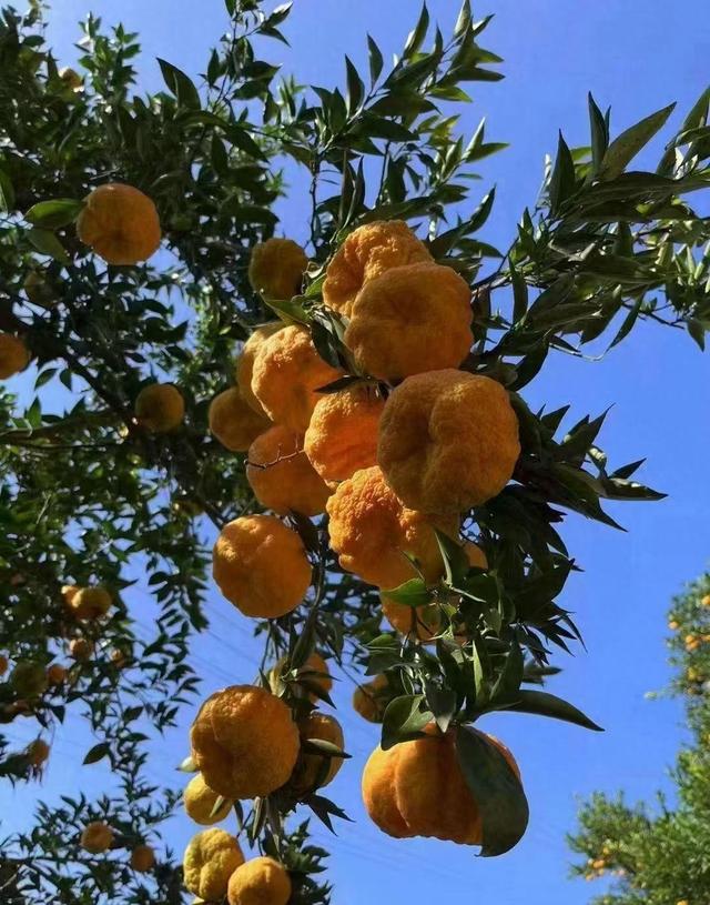 五十岁退休后，我靠三份工作维持生活，却意外发现人生新意义