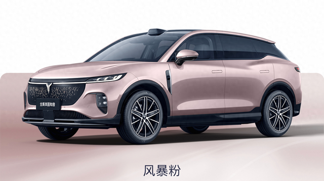新款岚图知音量产下线