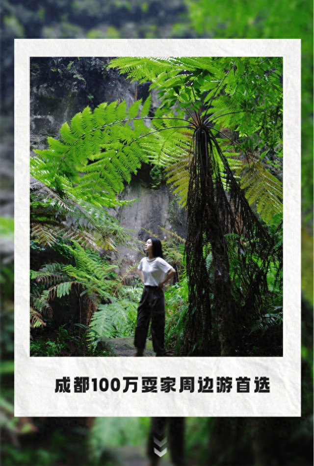 红了！1.5h直达甜味小镇，摘柿漫游徒步峡谷！美食断层第一，更是麻辣烫发源地！