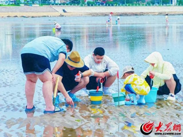 秋日赶海更舒适 温馨巴士带您玩转岛城赶海地 解锁“秋日第一桶嘎啦”
