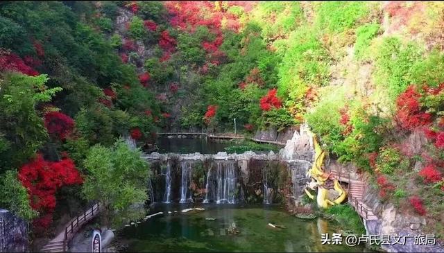【文旅医养】藏在双龙湾里的怡然居，邂逅自然慢时光