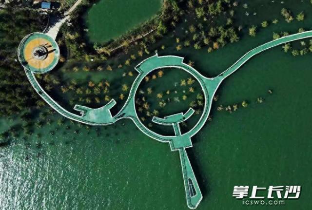 渔村新生，铺垭风景变“钱景” | 一江碧水向东流