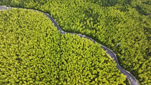 浙江磐安：盘山公路蜿蜒风光美