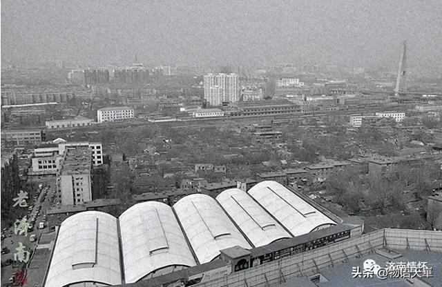 老济南的“百年北大槐树街”