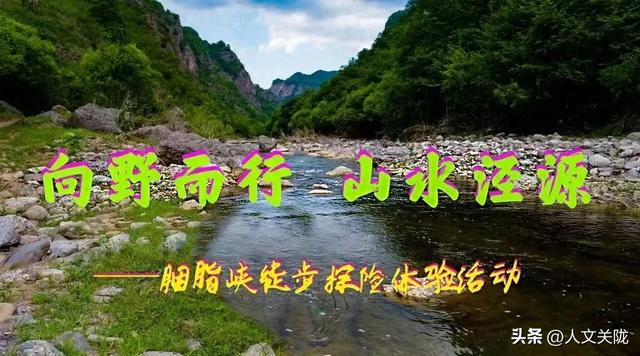 王永强 | 泾源行记